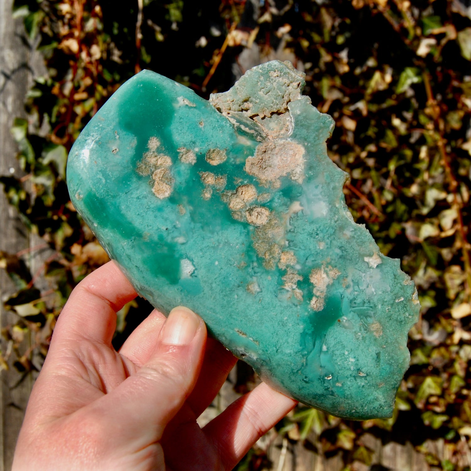 XL Mtorolite Chrome Chalcedony Crystal Slice