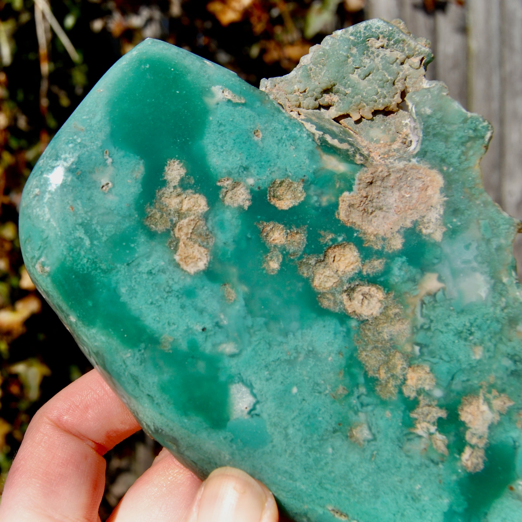 XL Mtorolite Chrome Chalcedony Crystal Slice