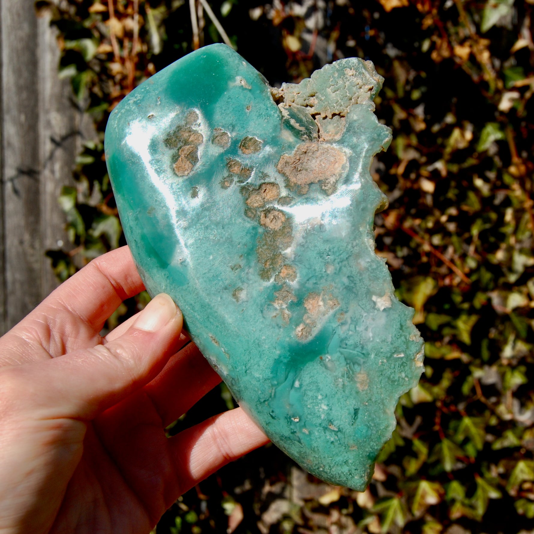 XL Mtorolite Chrome Chalcedony Crystal Slice