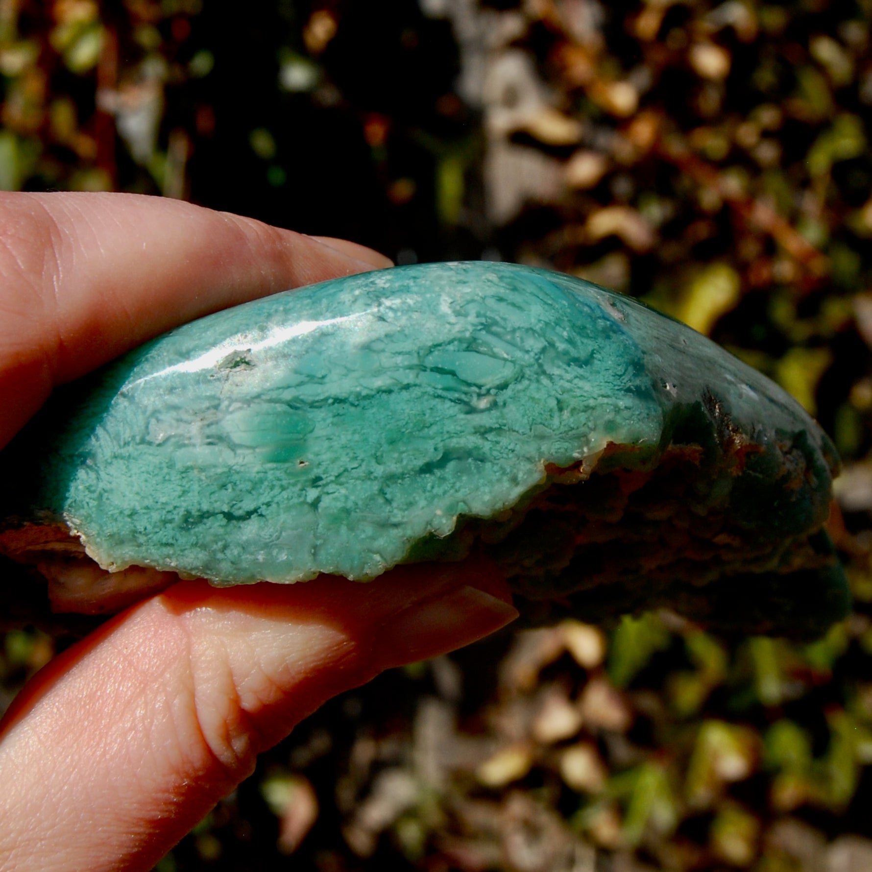 XL Mtorolite Chrome Chalcedony Crystal Slice