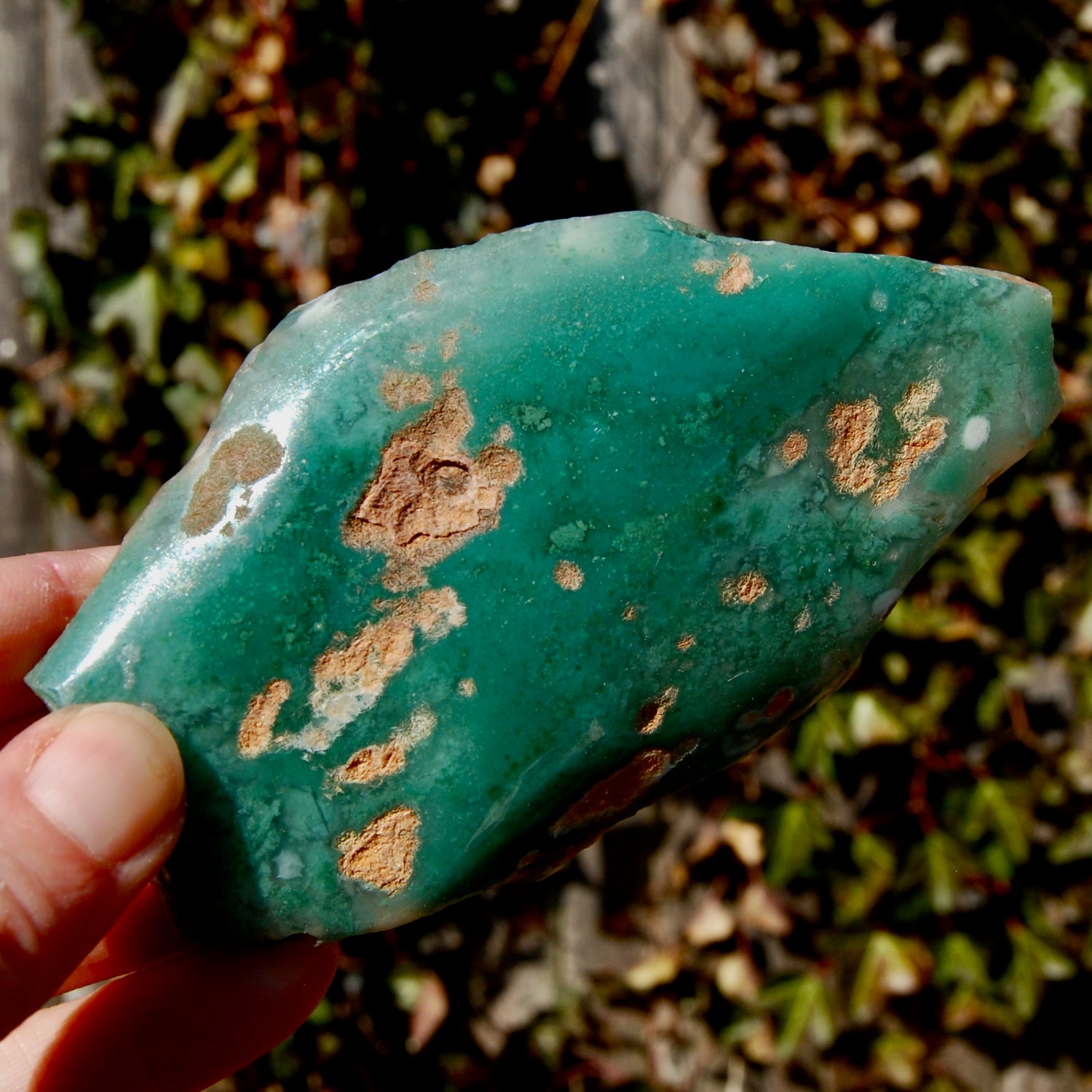 Mtorolite Chrome Chalcedony Crystal Slice