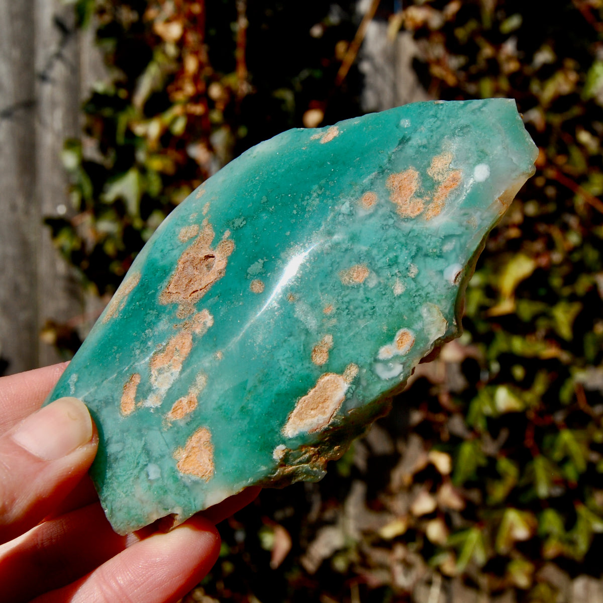 Mtorolite Chrome Chalcedony Crystal Slice