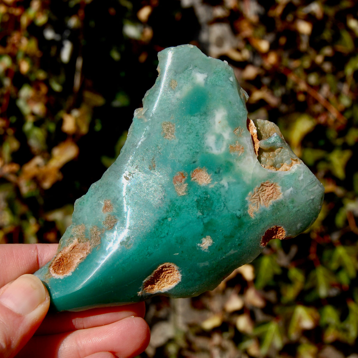 Mtorolite Chrome Chalcedony Crystal Slice