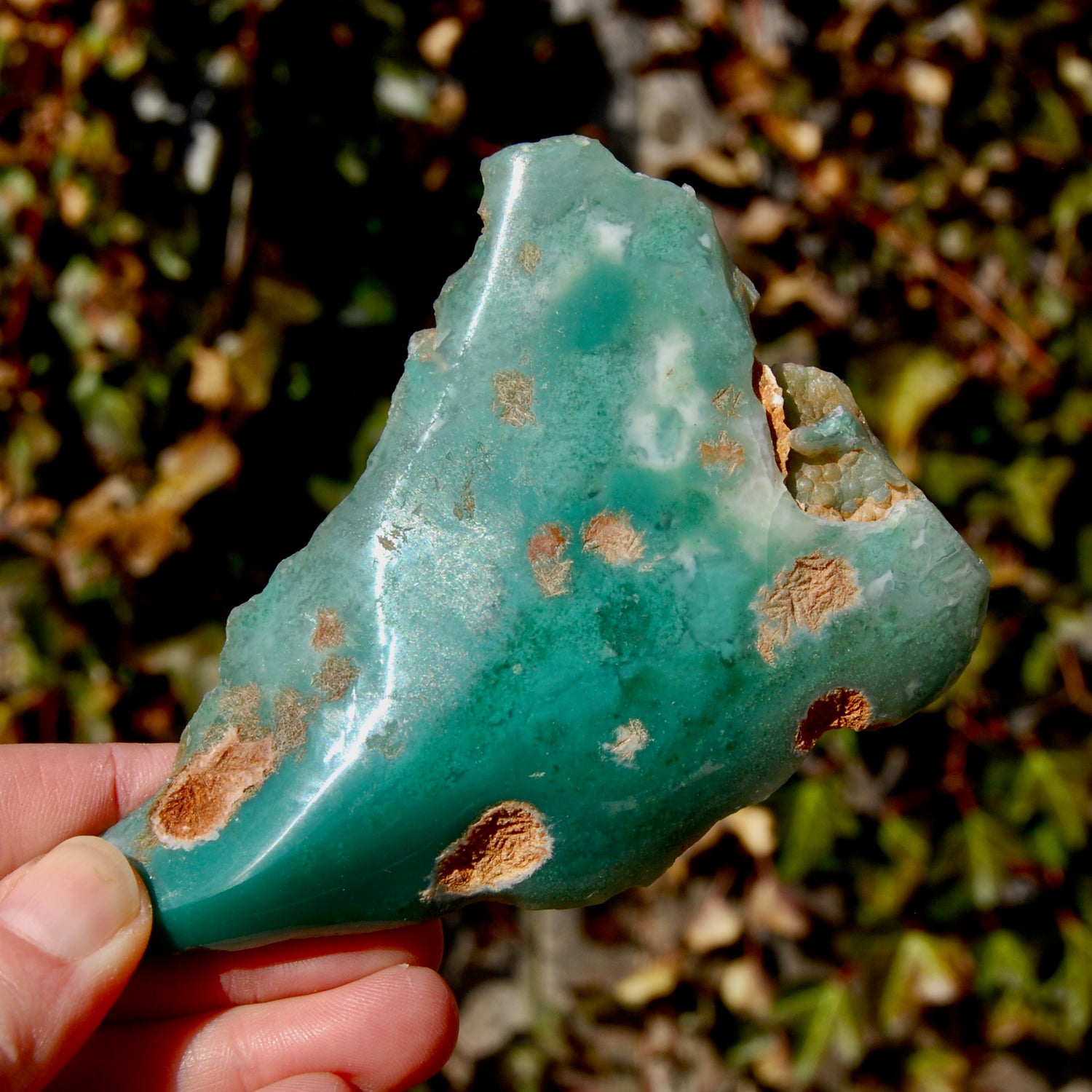 Mtorolite Chrome Chalcedony Crystal Slice