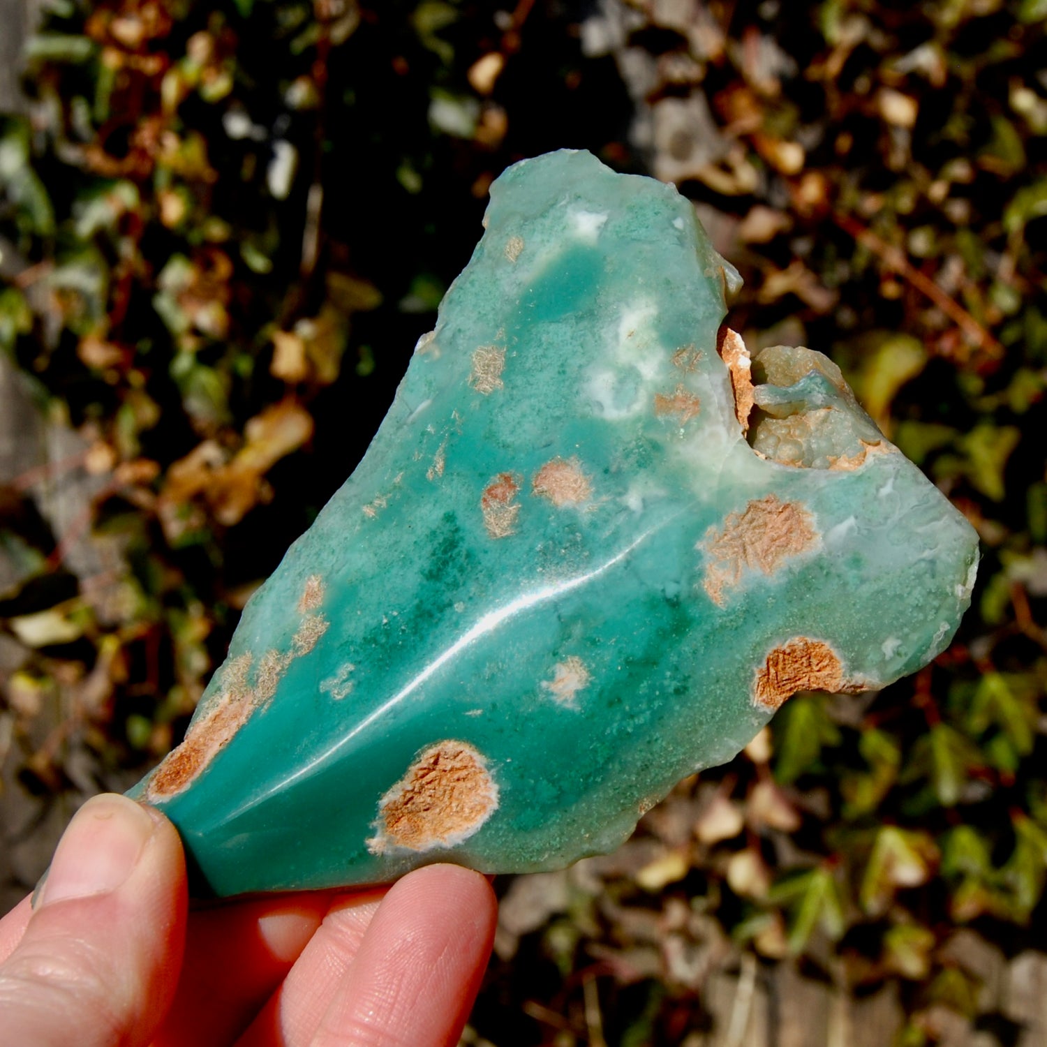 Mtorolite Chrome Chalcedony Crystal Slice