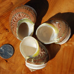 Banded Tapestry Turbo Shell 2-2.5in Mother of Pearl Shell