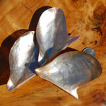 Polished Brown Lip Oyster Shell 4-5 inch Mother of Pearl Decor