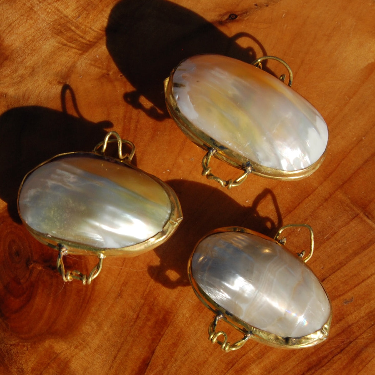 Goldmouth Turbo Shell Coin Purse 1.5in Seashell Pill Box