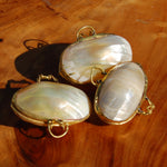 Goldmouth Turbo Shell Coin Purse 1.5in Seashell Pill Box