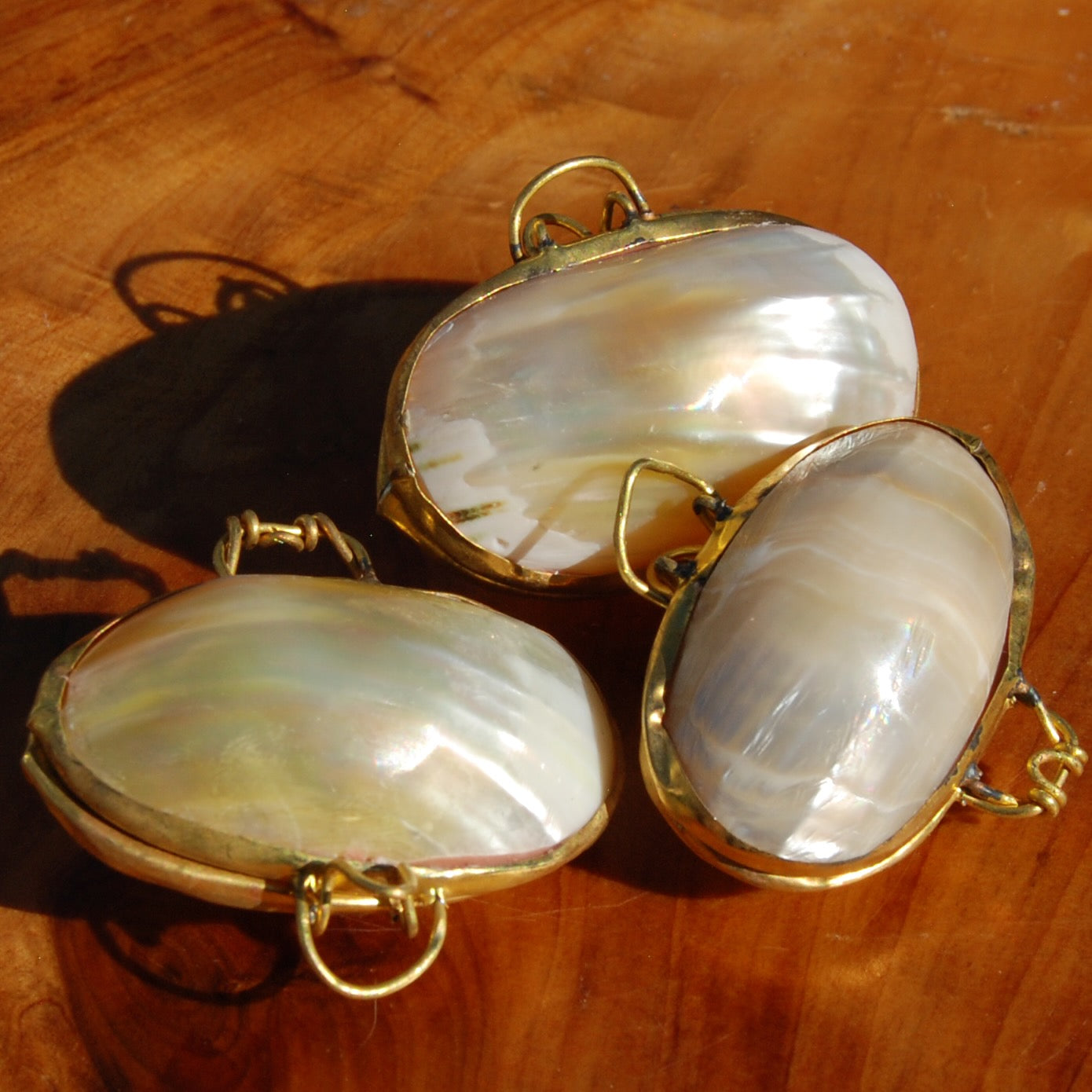 Goldmouth Turbo Shell Coin Purse 1.5in Seashell Pill Box