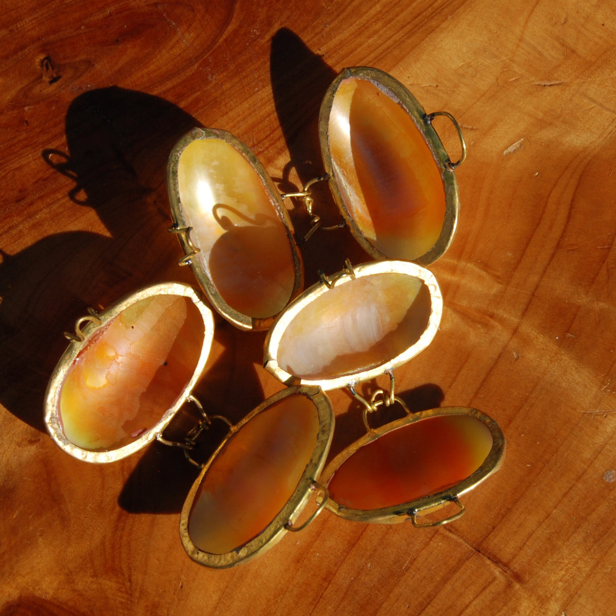 Goldmouth Turbo Shell Coin Purse 1.5in Seashell Pill Box