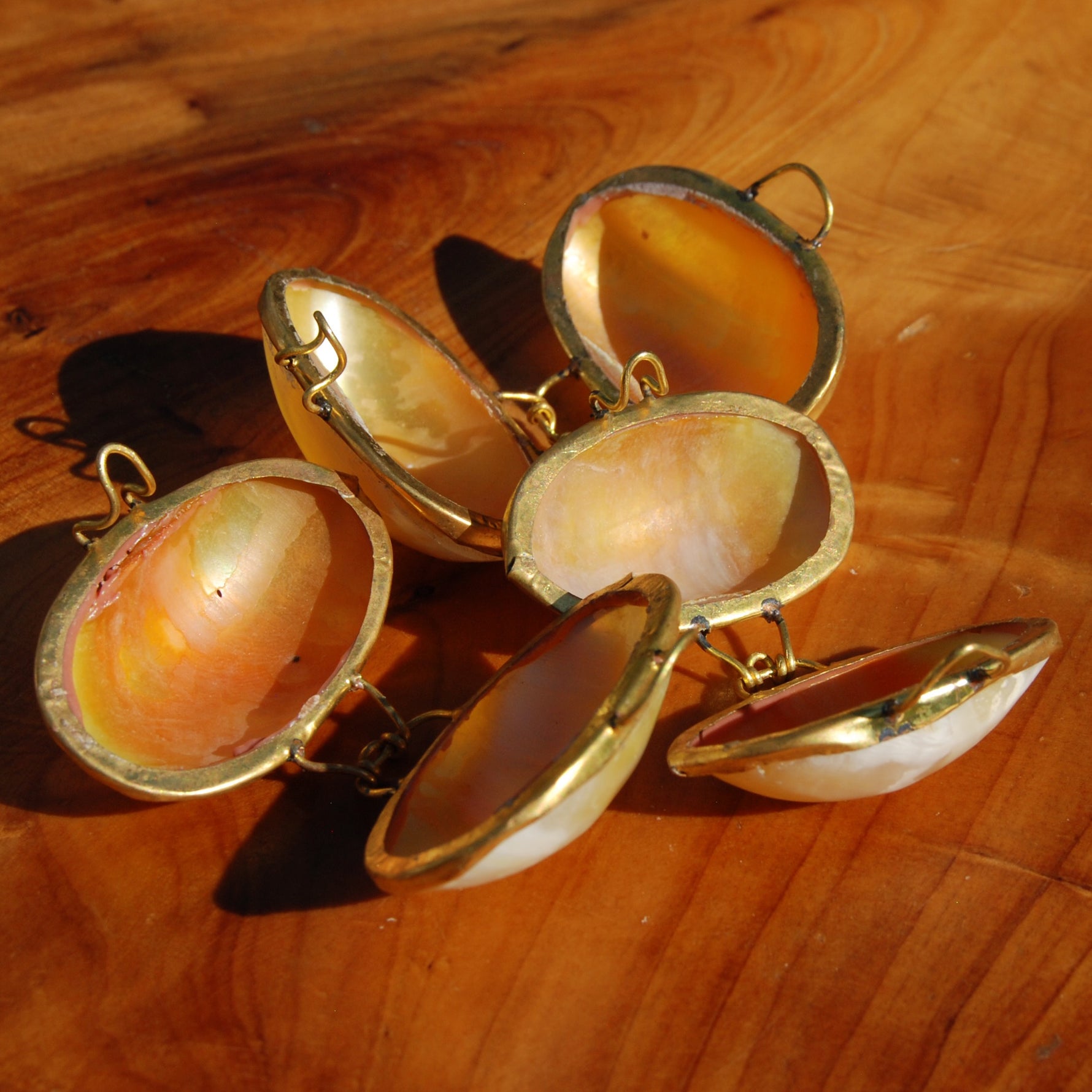 Goldmouth Turbo Shell Coin Purse 1.5in Seashell Pill Box
