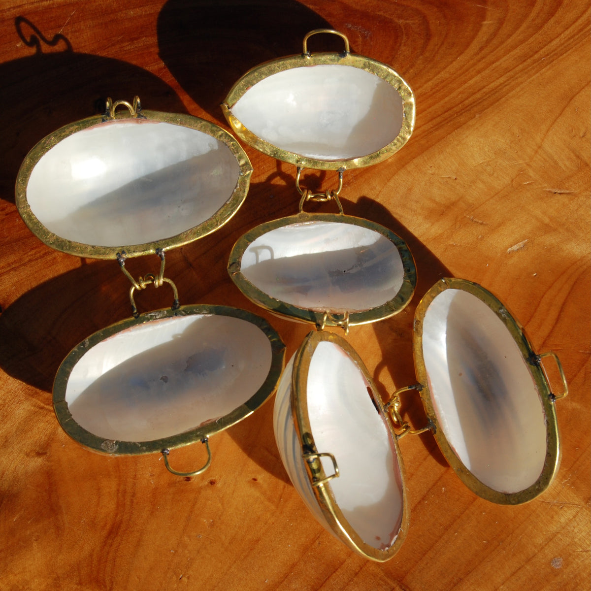 Silvermouth Turbo Shell Coin Purse 2in Seashell Pill Box