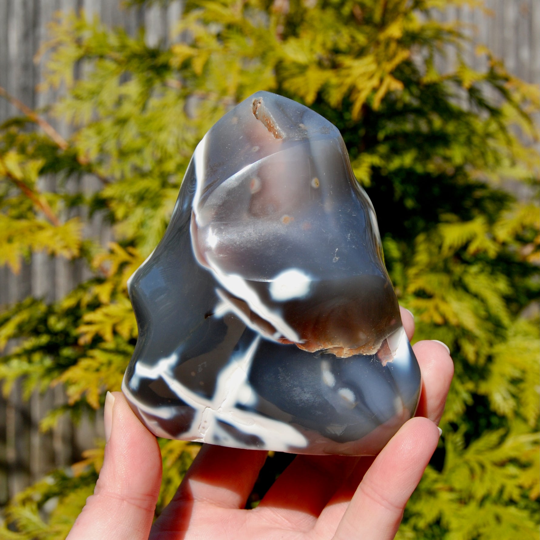 Orca Agate Crystal Flame Tower