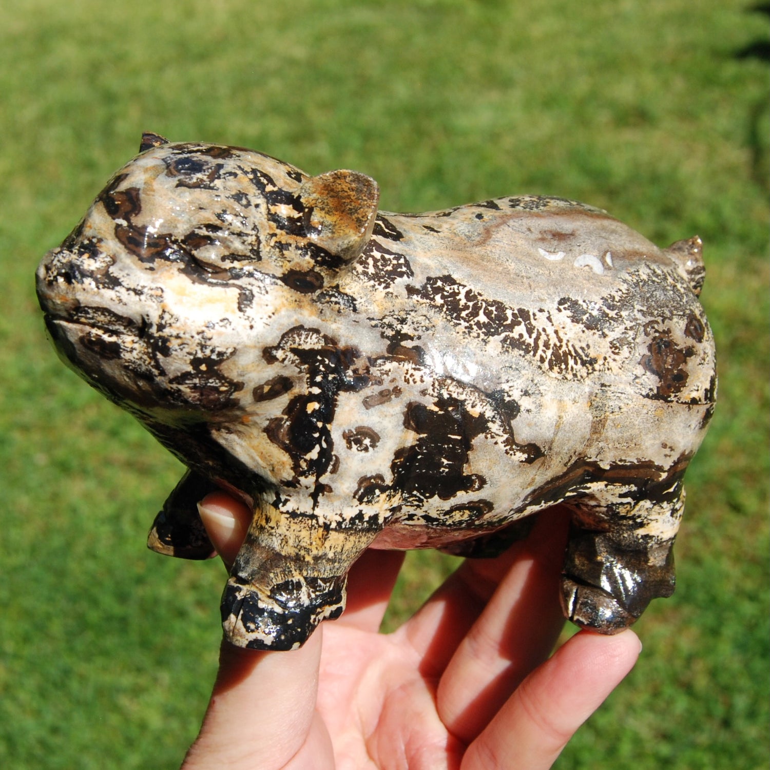 Picture Jasper Carved Crystal Pig