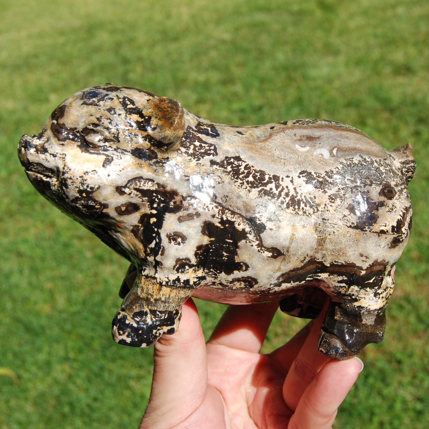 Picture Jasper Carved Crystal Pig