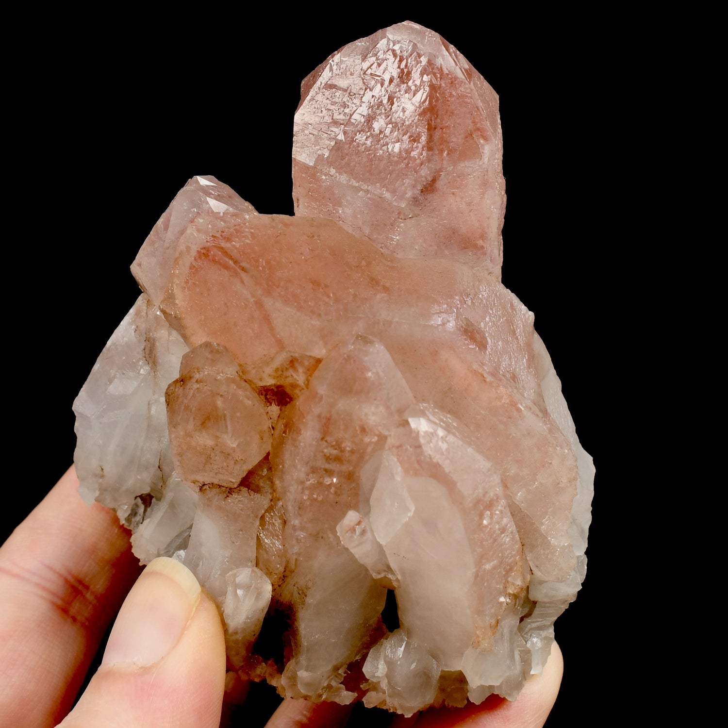 RARE Curved Trigonic Record Keeper Pink Lemurian Quartz Crystal Dreamsicle Cluster, Serra do Cabral