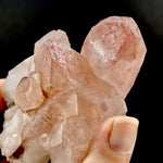RARE Curved Trigonic Record Keeper Pink Lemurian Quartz Crystal Dreamsicle Cluster, Serra do Cabral