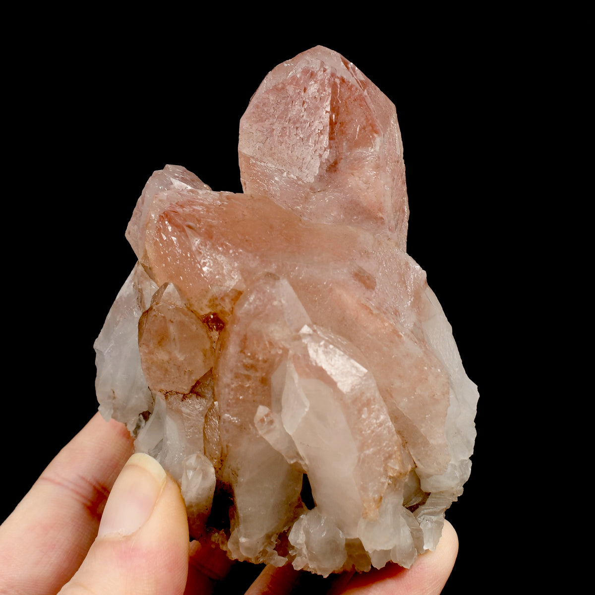 RARE Curved Trigonic Record Keeper Pink Lemurian Quartz Crystal Dreamsicle Cluster, Serra do Cabral