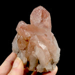 RARE Curved Trigonic Record Keeper Pink Lemurian Quartz Crystal Dreamsicle Cluster, Serra do Cabral