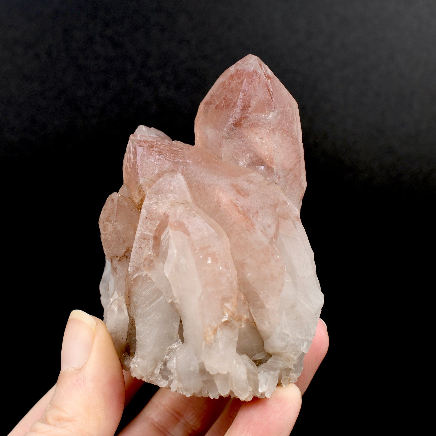 RARE Curved Trigonic Record Keeper Pink Lemurian Quartz Crystal Dreamsicle Cluster, Serra do Cabral