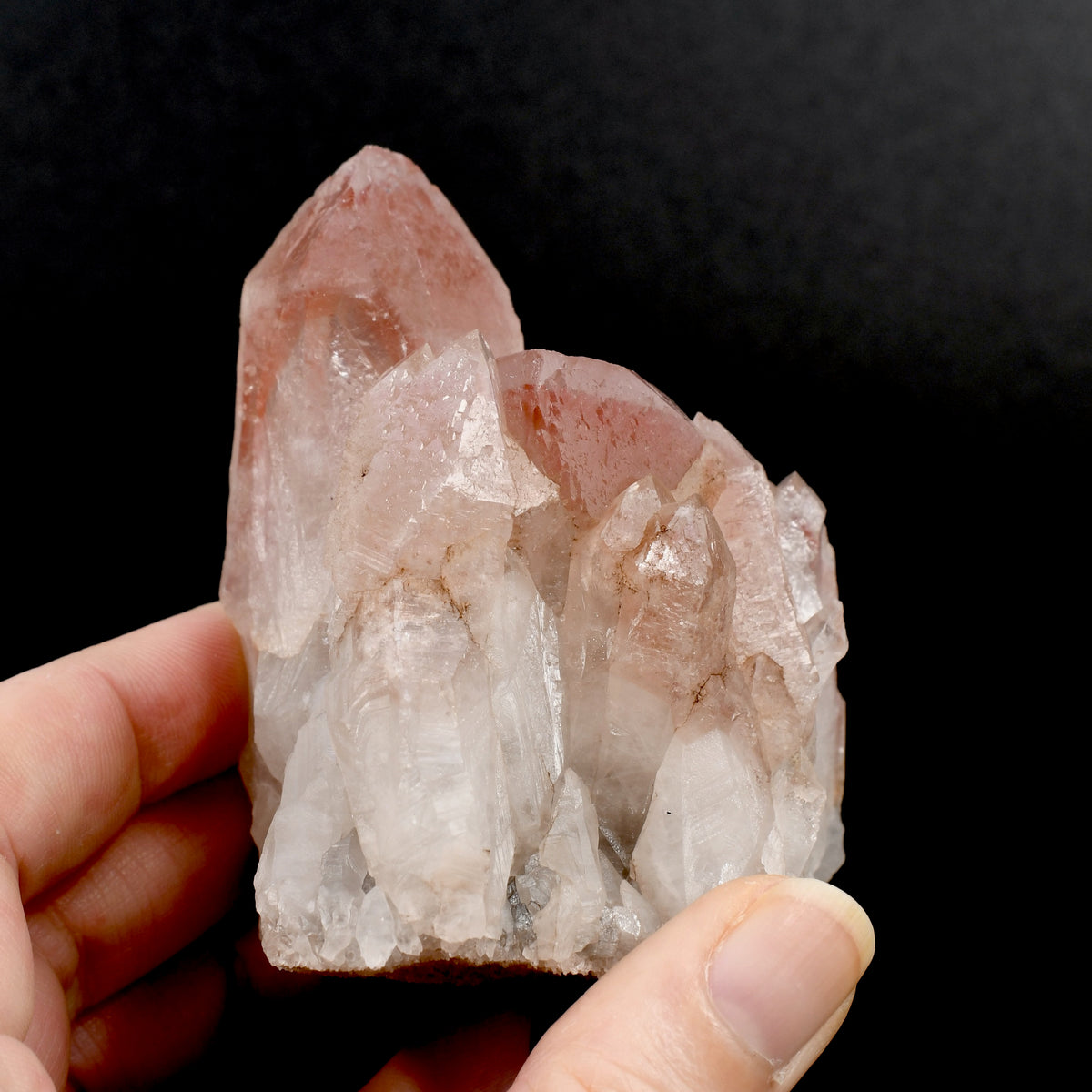 RARE Curved Trigonic Record Keeper Pink Lemurian Quartz Crystal Dreamsicle Cluster, Serra do Cabral
