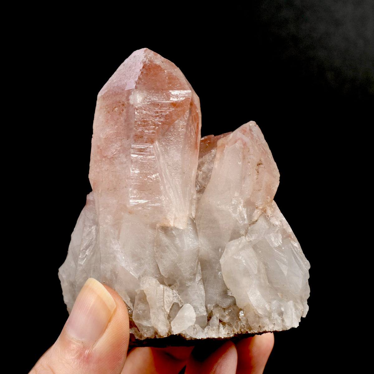 RARE Curved Trigonic Record Keeper Pink Lemurian Quartz Crystal Dreamsicle Cluster, Serra do Cabral