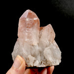 RARE Curved Trigonic Record Keeper Pink Lemurian Quartz Crystal Dreamsicle Cluster, Serra do Cabral