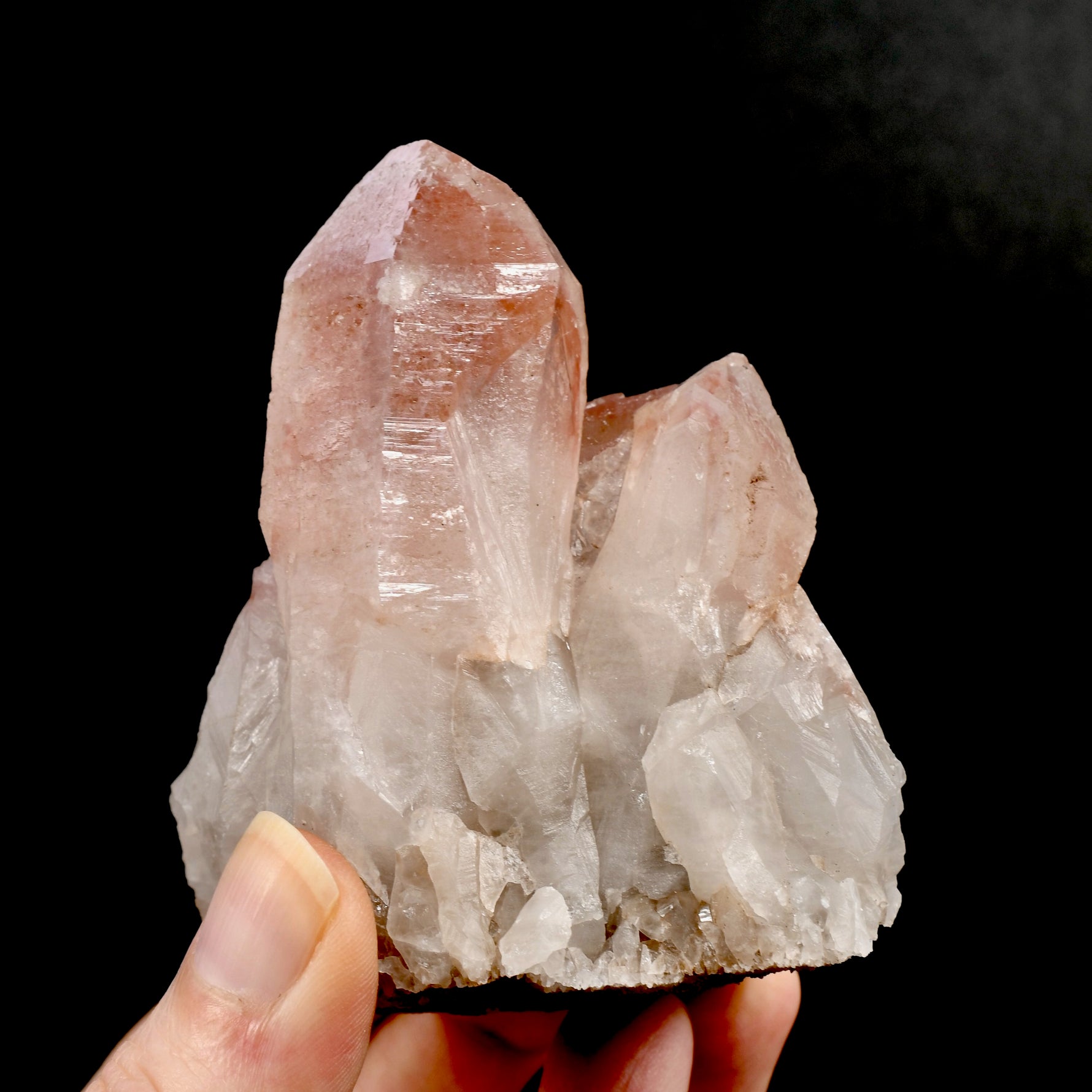 RARE Curved Trigonic Record Keeper Pink Lemurian Quartz Crystal Dreamsicle Cluster, Serra do Cabral