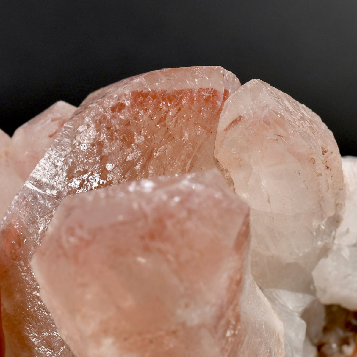 RARE Curved Trigonic Record Keeper Pink Lemurian Quartz Crystal Dreamsicle Cluster, Serra do Cabral