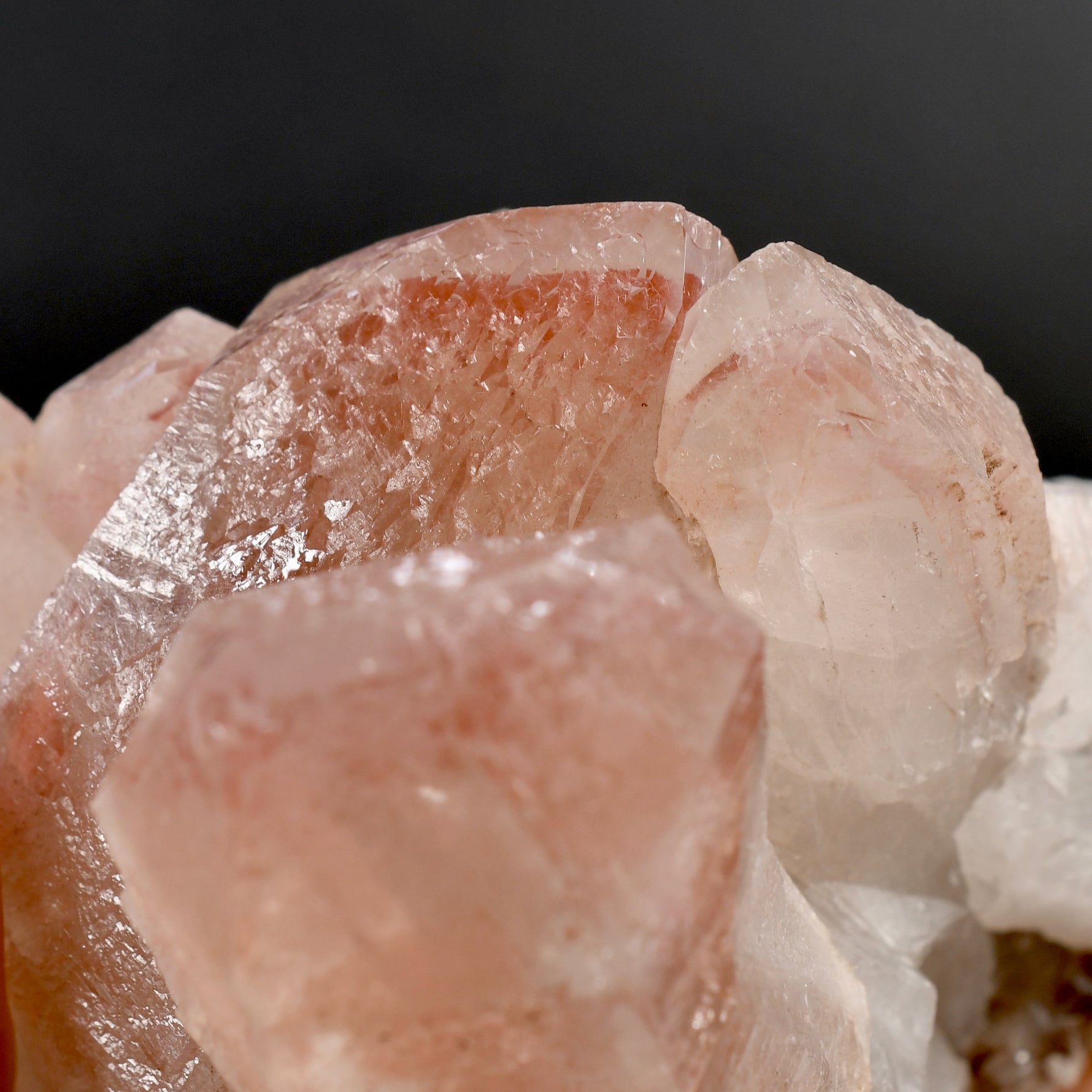 RARE Curved Trigonic Record Keeper Pink Lemurian Quartz Crystal Dreamsicle Cluster, Serra do Cabral