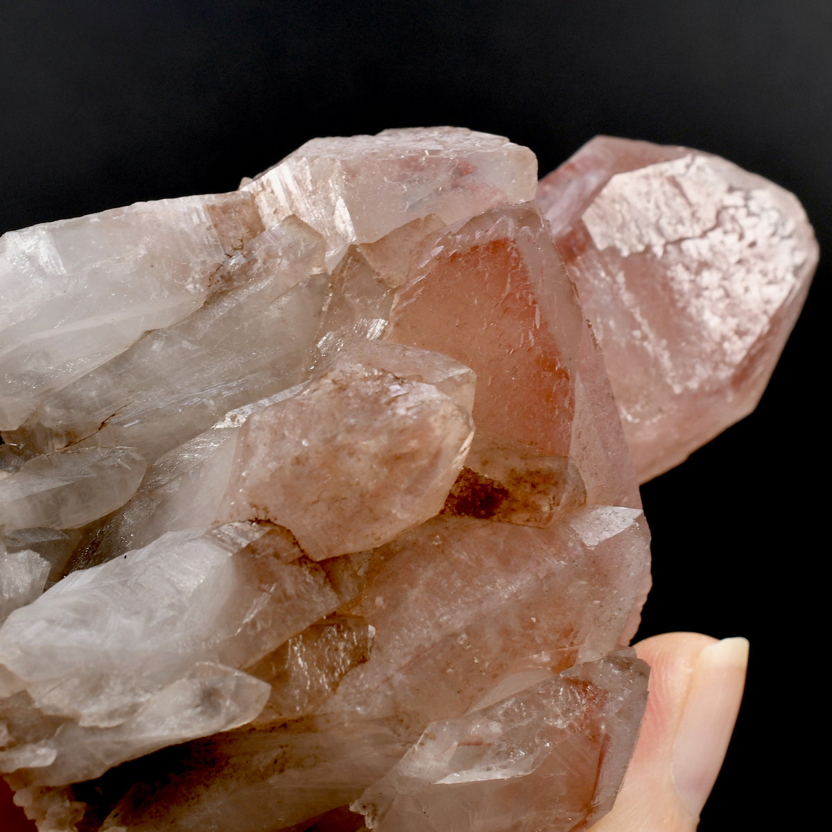 RARE Curved Trigonic Record Keeper Pink Lemurian Quartz Crystal Dreamsicle Cluster, Serra do Cabral