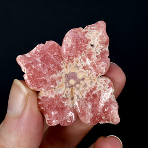 Rhodochrosite Carved Crystal Flower