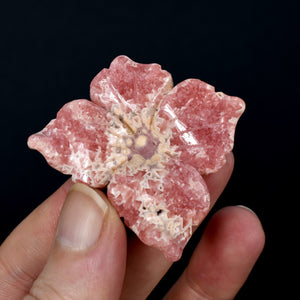 Rhodochrosite Carved Crystal Flower