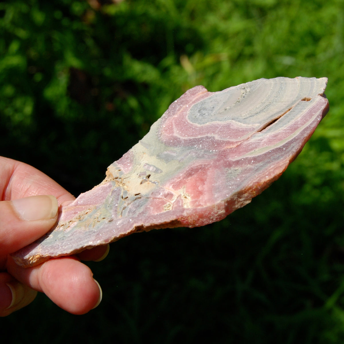 Rhodochrosite Slice with Galena & Pyrite – Polished Crystal from Argentina
