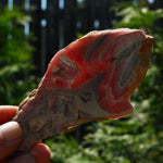 Rhodochrosite Slice with Galena & Pyrite – Polished Crystal from Argentina