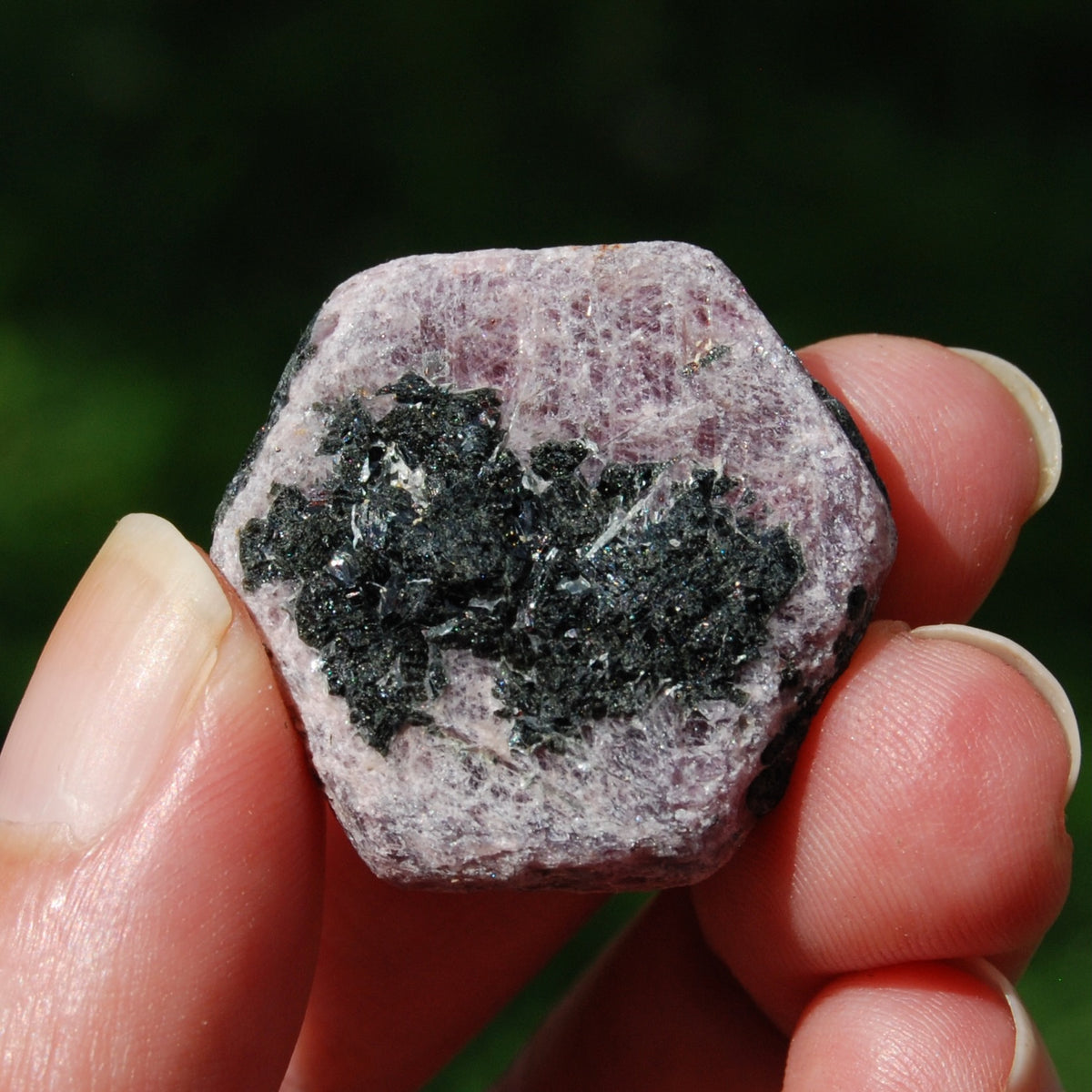 Hexagon Ruby Corundum Crystal Record Keeper, Natural Raw Ruby Crystal