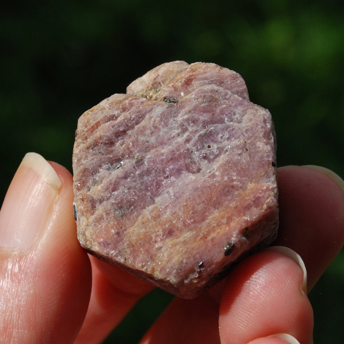 Hexagon Ruby Corundum Crystal Record Keeper, Natural Raw Ruby Crystal
