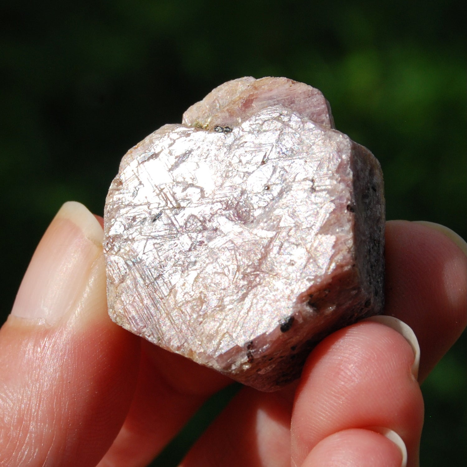 Hexagon Ruby Corundum Crystal Record Keeper, Natural Raw Ruby Crystal