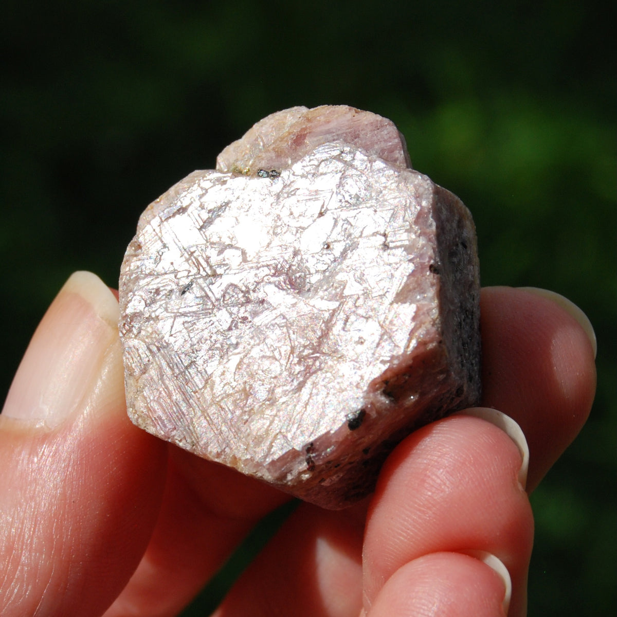 Hexagon Ruby Corundum Crystal Record Keeper, Natural Raw Ruby Crystal