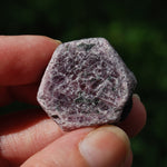 Hexagon Ruby Corundum Crystal Record Keeper, Natural Raw Ruby Crystal