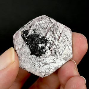 Hexagon Ruby Corundum Crystal Record Keepers 