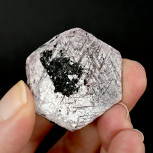 Load image into Gallery viewer, Hexagon Ruby Corundum Crystal Record Keepers 
