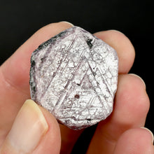 Load image into Gallery viewer, Hexagon Ruby Corundum Crystal Record Keepers 
