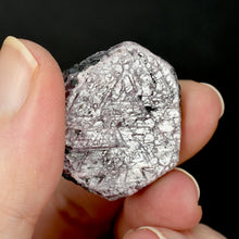 Load image into Gallery viewer, Hexagon Ruby Corundum Crystal Record Keepers 
