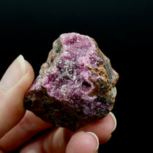 Load image into Gallery viewer, Pink Cobaltoan Calcite Malachite Crystal Cluster, Cobalto Calcite Druzy Salrose Pink Dolomite
