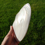 Large Pearlized Mussel Shell Pair for sale