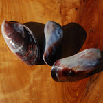 Pearlized Mussel Pairs, Iridescent Polished Purple Seashells