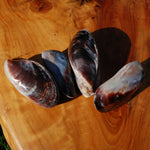 Pearlized Mussel Pairs, Iridescent Polished Purple Seashells