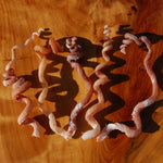 Spiral Worm Seashell - Natural Tenagodus anguinus Sea Shell Curiosity 4-6in for sale